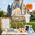 Disney Cinderella Princess Baby Reveal Digital Editable Template, Girl Editable Canva Instant Download TrendyCustomApparel™