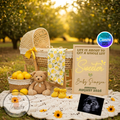 Baby shower setup with wicker bassinet, teddy bear, and baby shoes in a park setting.