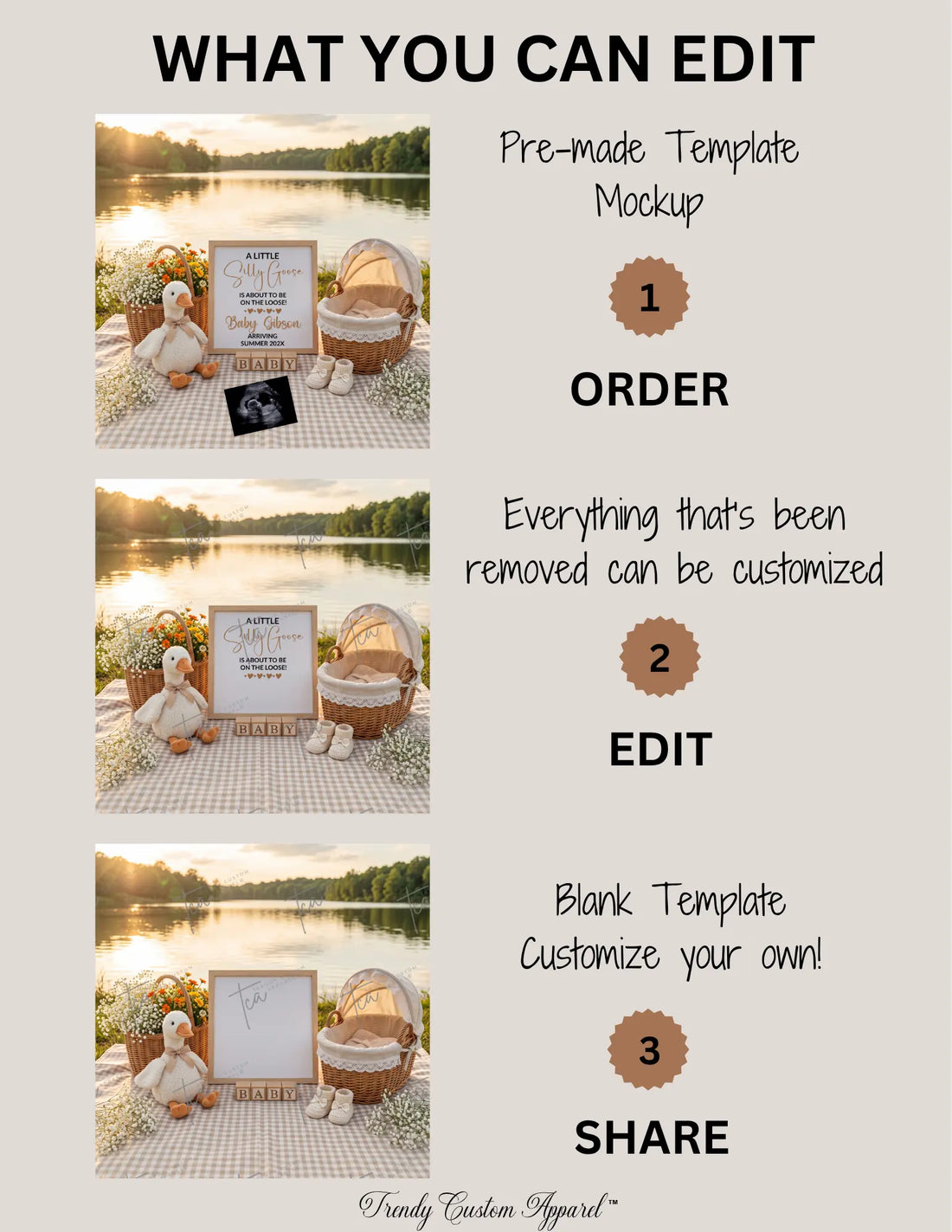 Silly Goose Baby Reveal Digital Editable Template, Spring or Summer Canva Template TrendyCustomApparel™