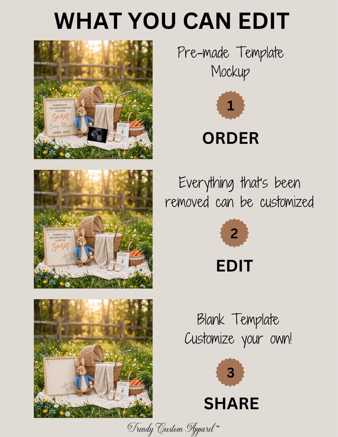 Somebunny Has Been Keeping A Little Secret Easter Pregnancy Announcement Digital Template 